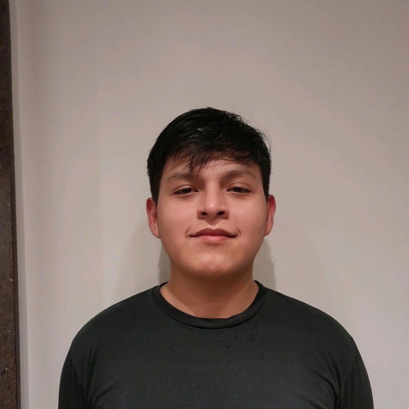 Luis Sanchez - Arquitecto de Software, Full Stack Developer, DevOps